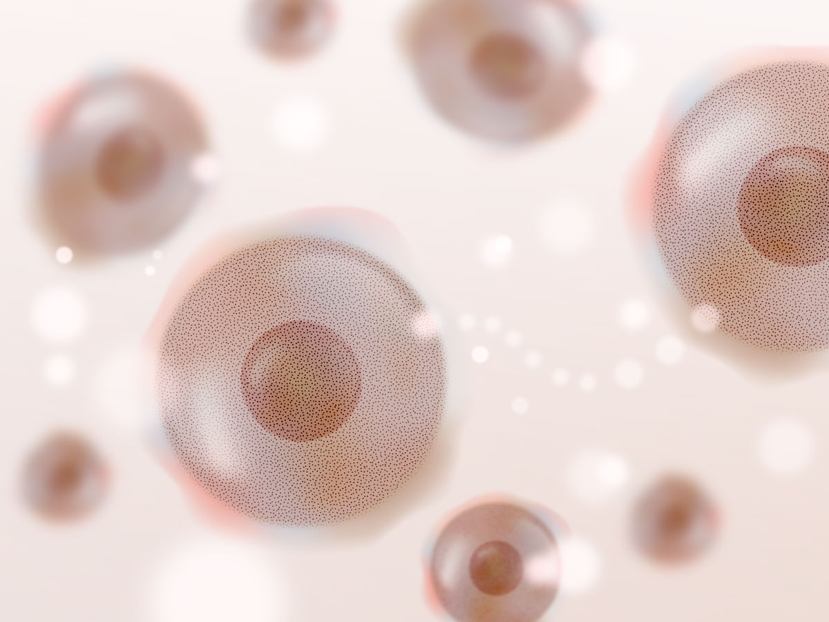 feat0<br />
<b>Warning</b>:  Undefined variable $i in <b>/home/xs171376/reunet.jp/public_html/trial/wp/wp-content/themes/reutrial/parts/loop_features.php</b> on line <b>20</b><br />
<br />
<b>Warning</b>:  Undefined variable $count in <b>/home/xs171376/reunet.jp/public_html/trial/wp/wp-content/themes/reutrial/parts/loop_features.php</b> on line <b>20</b><br />
2